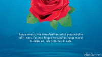 Bunga mawar, bisa dimanfaatkan untuk penyembuhan sakit mata. Caranya dengan memasukan bunga mawar ke dalam air, lalu teteskan di mata.