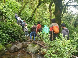 Gunung Bawakaraeng Disulap Jadi Lahan Kopi, Pemerintah Turun Tangan