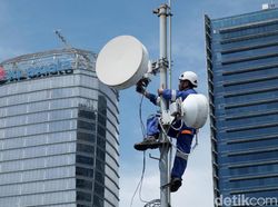 Pertumbuhan Pendapatan XL Axiata