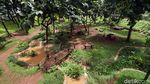 Asyiknya Bermain di Taman Kembang Kerep Jakbar