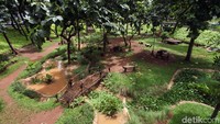 Taman Kembang Kerep tak hanya dibangun sebagai tempat untuk bermain maupun bersantai warga sekitar, area tersebut juga dilengkapi dengan sumur resapan untuk menampung air hujan.