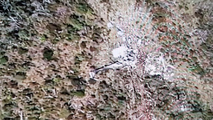 DOK. ISTIMEWA/ Puing heli MI-17 yang jatuh di Pegunungan Bintang Papua