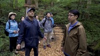 Hanya satu solusianya, kembali ke alam. Komunitas-komunitas pecinta lingkungan mulai mengajak orang-orang untuk datang ke hutan. Di hutan, mereka diminta untuk memperhatikan keadaan sekitar. (BBC)