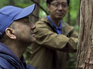 Unik! Orang Jepang yang Suka Berbicara dengan Pohon