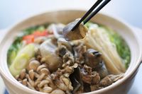 Disebut Bernutrisi, Pasien Virus Corona di Wuhan Diberi Makan Sup Kura-kura