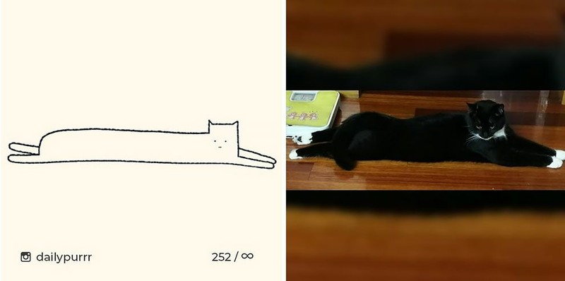 ilustrasi kucing sederhana tapi bisa mengundang tawa