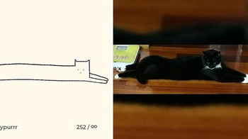 Kucing hitam lagi tiduran malah badannya jadi molor. Foto: Instagram/dailypurrr