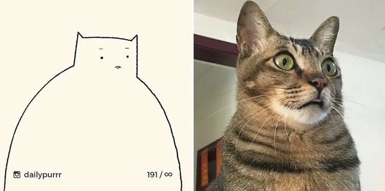 ilustrasi kucing sederhana ilustrasi kucing sederhana ini bisa mengundang tawa