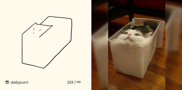 ilustrasi kucing sederhana tapi bisa mengundang tawa
