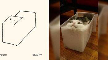 Kucing juga bisa berubah jadi cairan dan mengikuti bentuk kotak yang ditempatinya. Foto: Instagram/dailypurrr