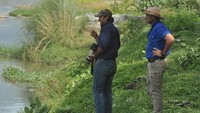 Chris Wilson dan Matthew Nicolas Wright yang diketahui merupakan pemerhati reptil dari Australia, resmi tergabung dalam satuan tugas (satgas) penanganan buaya berkalung ban di Palu, Sulawesi Tengah (Sulteng).