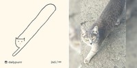 ilustrasi kucing sederhana tapi bisa mengundang tawa