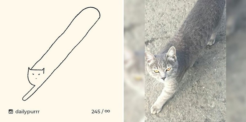 ilustrasi kucing sederhana tapi bisa mengundang tawa