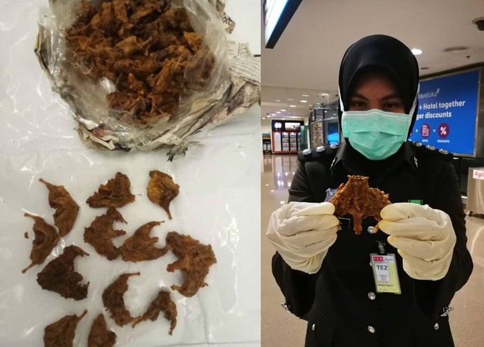 Dendeng Tikus Dendeng Tikus