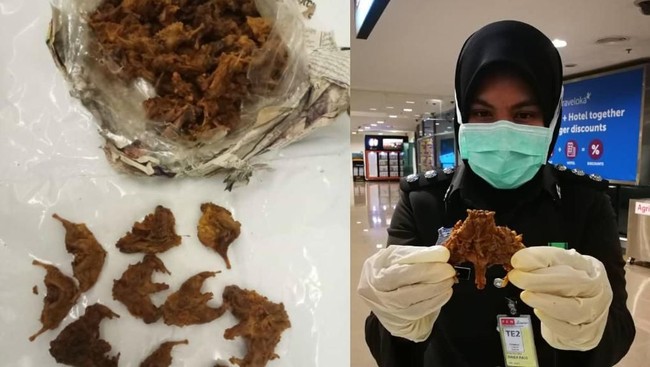 Seputar Virus Corona, Konsumsi Hewan Liar hingga Penyelundupan Dendeng Tikus