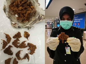 Di Tengah Wabah Virus Corona, Pria Ini Selundupkan Dendeng Tikus ke Pesawat