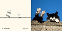 ilustrasi kucing sederhana tapi bisa mengundang tawa