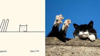 Saat memilih foto kucing yang ingin digambar, Ainars biasanya punya kriterianya sendiri. Foto: Instagram/dailypurrr