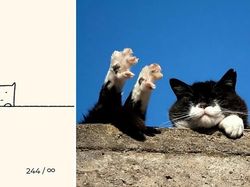 Kumpulan Ilustrasi Kucing Sederhana yang Bikin Ngakak