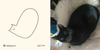 ilustrasi kucing sederhana ini bisa mengundang tawa