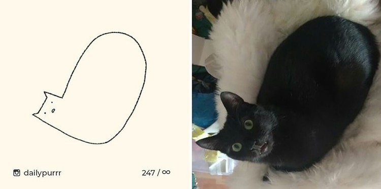 ilustrasi kucing sederhana ilustrasi kucing sederhana ini bisa mengundang tawa