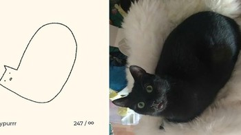 Bentuk dan perilaku mereka yang aneh juga bisa mengundang tawa. Foto: Instagram/dailypurrr