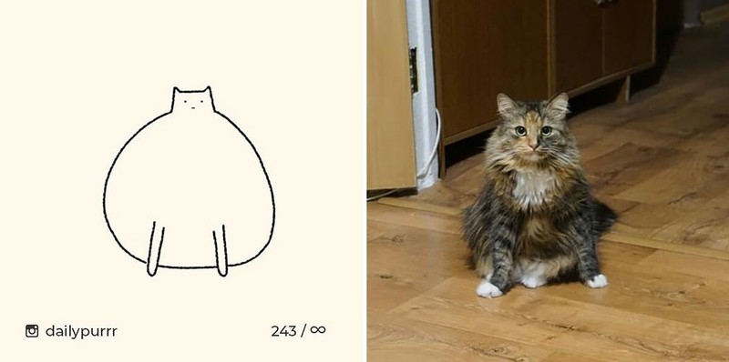 ilustrasi kucing sederhana ini bisa mengundang tawa