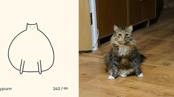 Bahkan suatu hari ia pernah dikirimi 150 pesan lewat Instagram berisi foto kucing dari followers-nya. Foto: Instagram/dailypurrr