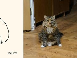 Kumpulan Ilustrasi Kucing Sederhana yang Bikin Ngakak