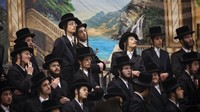 Tu Bishvat atau Tahun baru pohon kerap dirayakan pada akhir Januari atau awal Bulan Februari.