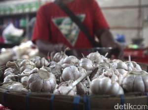 Kisah Petani Bawang Putih Sembalun Mampu Bertahan di Tengah Corona