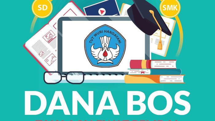 dana bos dana bos
