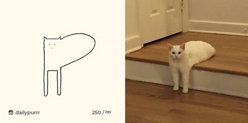 ilustrasi kucing sederhana ini bisa mengundang tawa