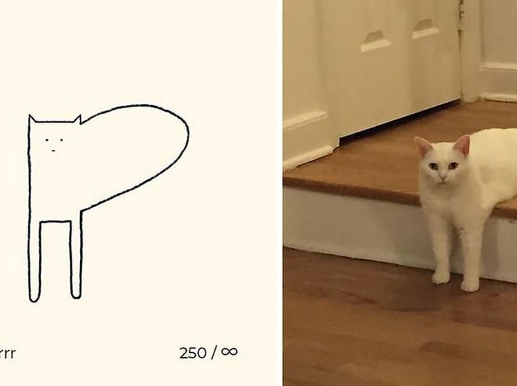 Kumpulan Ilustrasi Kucing Sederhana yang Bikin Ngakak