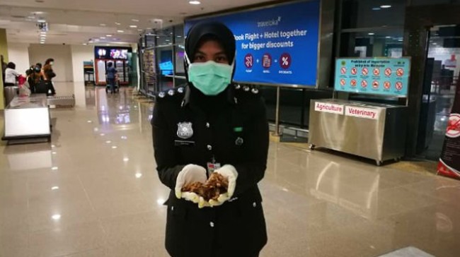 Seputar Virus Corona, Konsumsi Hewan Liar hingga Penyelundupan Dendeng Tikus