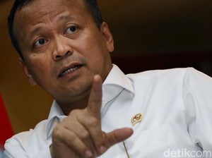 Kata Edhy Prabowo soal Orang Gerindra Dapat Izin Ekspor Benih Lobster