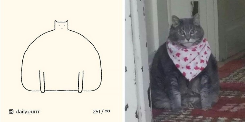 ilustrasi kucing sederhana ini bisa mengundang tawa