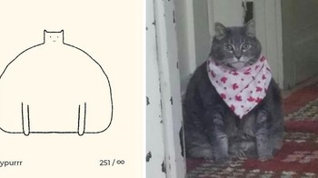 Seperti siluet kucing gendut ini yang entah bagaimana bisa dibuat menjadi lebih lucu lewat goresan tangan Ainars. Foto: Instagram/dailypurrr