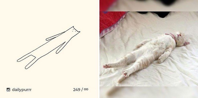 ilustrasi kucing sederhana ini bisa mengundang tawa