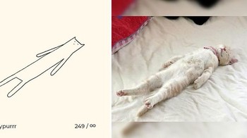Setiap harinya ia mengunggah ilustrasi kucing dengan gaya sederhana yang ia deskripsikan sebagai stupid cat drawing. Foto: Instagram/dailypurrr