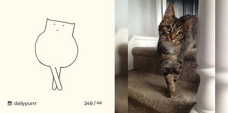 ilustrasi kucing sederhana ini bisa mengundang tawa