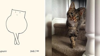 Hal inilah yang ingin diperlihatkan oleh Ainars, seorang seniman asal Latvia. Foto: Instagram/dailypurrr