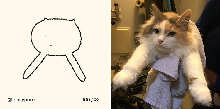 ilustrasi kucing sederhana ilustrasi kucing sederhana ini bisa mengundang tawa