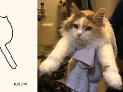 Kumpulan Ilustrasi Kucing Sederhana yang Bikin Ngakak