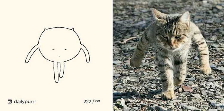 ilustrasi kucing sederhana ilustrasi kucing sederhana ini bisa mengundang tawa