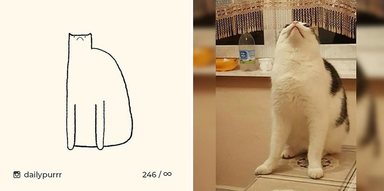 ilustrasi kucing sederhana ini bisa mengundang tawa