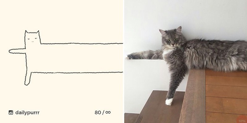 ilustrasi kucing sederhana tapi bisa mengundang tawa