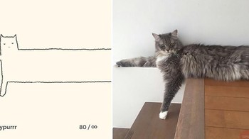 Kucing ini jadi terlihat mengambang di ilustrasi Ainars. Foto: Instagram/dailypurrr