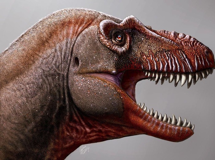 Thanatotheristes degrootorum Thanatotheristes degrootorum, spesies dinosaurus baru yang dijuluki malaikat maut