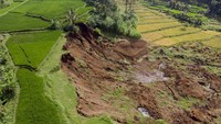 Begini penampakan areal persawahan di Desa Sukatani, Ngamprah, Kabupaten Bandung Barat, Rabu (12/2/2020) yang mengalami longsor.